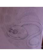 Kohlezeichnung von Welti mit Spermi auf Rückseite   DiIN A4