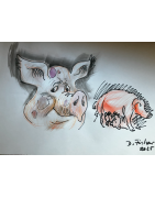 Portät Schwein als Mutter Sau Zeichnung A2