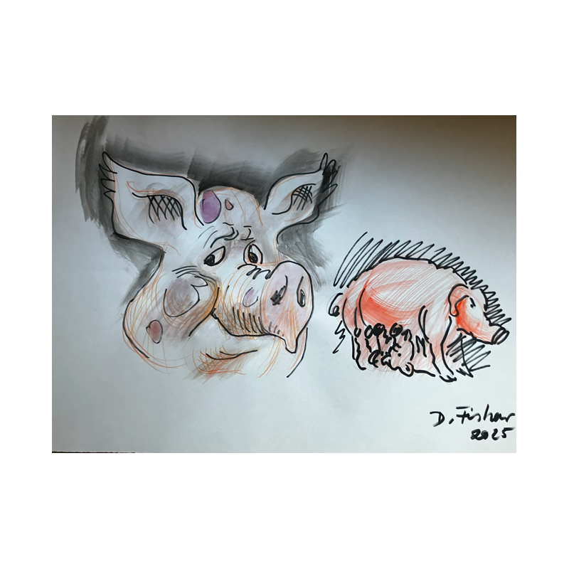 Portät Schwein als Mutter Sau Zeichnung A2 Portät Schwein als Mutter Sau Zeichnung A2