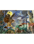 Beschreibt Wald Tiere bei nachts