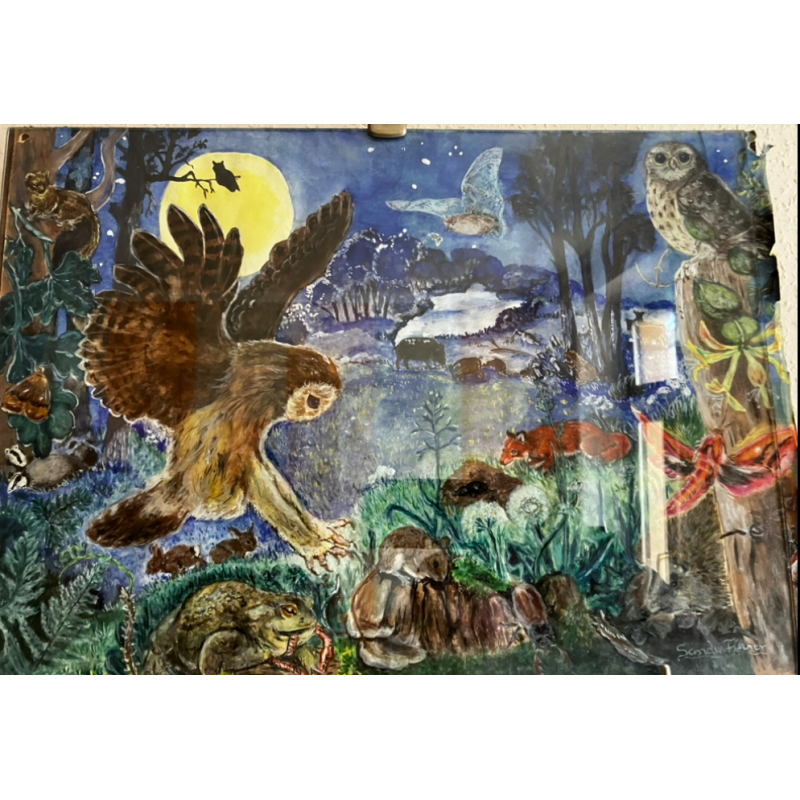 Beschreibt Wald Tiere bei nachts