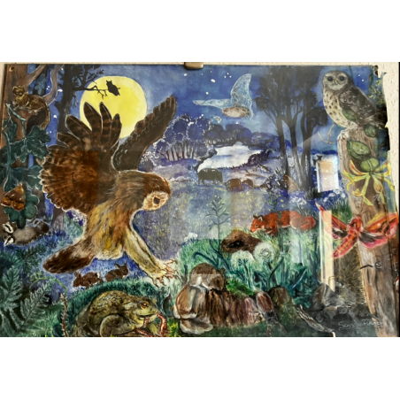 Beschreibt Wald Tiere bei nachts